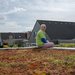 Henny Hauschild (IVN Hoogeveen) op groen sedum dak