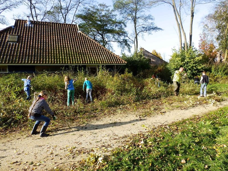 Kinderen snoeien in Steenbergerpark in Hoogeveen